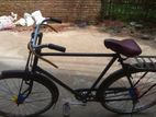 Bicycle for sell