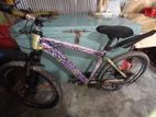 Bicycle for sell