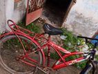 Bicycle for sell