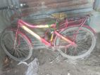 Bicycle for sell