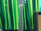 Good condition Tayste guitar