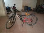 Duranta Bicycle for sale