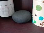 Google home nest mini