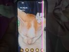 Google Pixel 5 (Used)