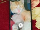 Google Pixel 6 8/256 (Used)