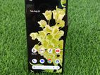 Google Pixel 6 --8GB/128GB Fresh (Used)