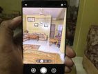 Google Pixel 6 Pro (Used)