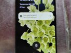 Google Pixel 6 (Used)