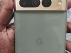 Google Pixel 7 Pro 6/128 (Used)