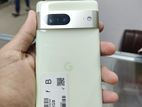 Google Pixel7 (Used)