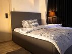 Gorgeous Full-Furnished Apartment Rent in Gulshan