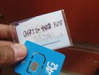 GP Premium Sim Card