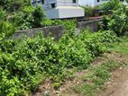 Green lake view : 3 Katha Sector 15