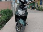 Green Tiger . 2025