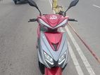 Green Tiger GT 2024 2025