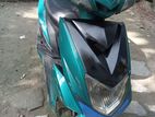 Green Tiger GT . 2024