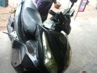 Green Tiger GT5 Pulse . 2023