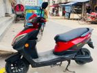 Green Tiger Jr finix pro 2022