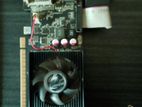 GT 710 2GB Graphics Card