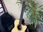 Guitar - Deviser L-720A-N