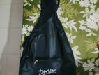 Guitar-Deviser model Ls-161-N
