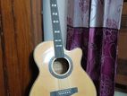 Guitar (Fender FA 130)