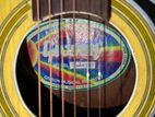 Guitar for sell