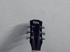 Guitar for sale