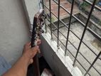 Guitar for sell