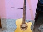 Chard Acoustic Guitar