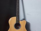 Guitar Givson Acoustic