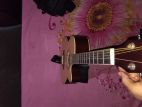 Guitar Model Tgm Tm01 for sell