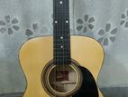 Guitar ROGUE 090 NA