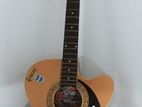 Guitar sell hobay