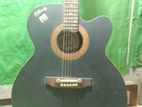 Guitar - Signatuare Brand(steel String)
