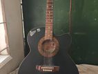 Guitar - Signature Roghu 265