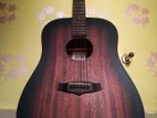 Guitar (Tanglewood TWCR D)