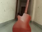 Guitar Trend