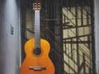 Guitar, Yamaha c40