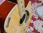 Guiter (Acoustic)