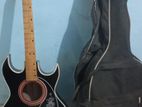 Guiter Sell post