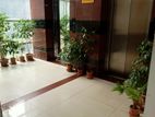 Gulshan Avenue commercial space rent