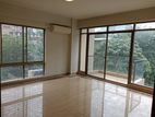 Gym & pool semi furnish 4 Bed room apt rent in Gulshan 2