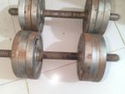 gym dumbbell