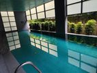 Gym-Swimming 4Bed Semi-Furnished New Apartment Rent Gulshan-2