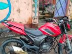 Zaara Max Z 2020