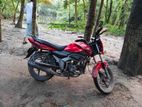 H Power Zaara 100 . 2018