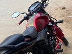 H Power Zaara 110 2019