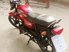 H Power Zaara DD80 . 2018