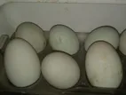 হাঁসের ডিম